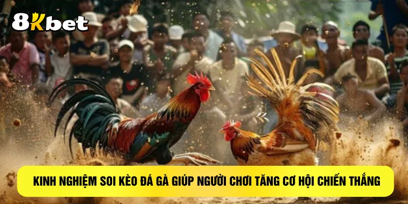 kinh-nghiem-soi-keo-da-ga-giup-nguoi-choi-tang-co-hoi-chien-thang