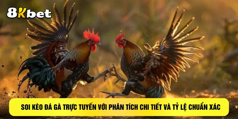 soi-keo-da-ga-truc-tuyen-voi-phan-tich-chi-tiet-va-ty-le-chuan-xac