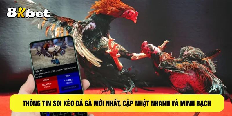 thong-tin-soi-keo-da-ga-moi-nhat-cap-nhat-nhanh-va-minh-bach